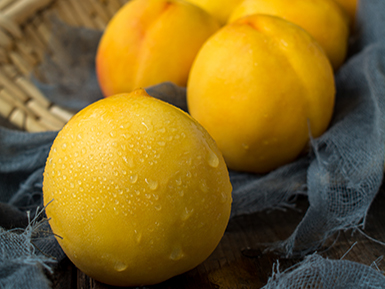 ​爱游戏电脑版基地展示五